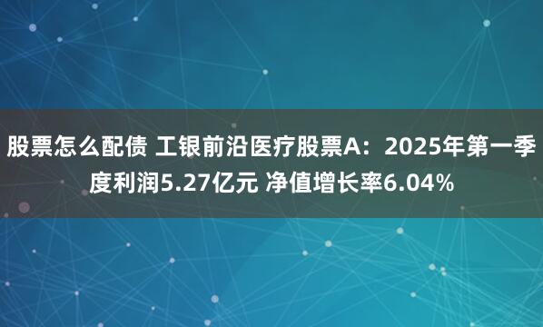 股票怎么配债 工银前沿医疗股票A：2025年第一季度利润5.27亿元 净值增长率6.04%