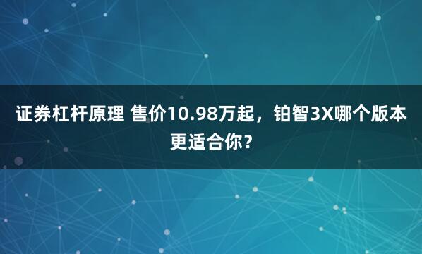 证券杠杆原理 售价10.98万起，铂智3X哪个版本更适合你？