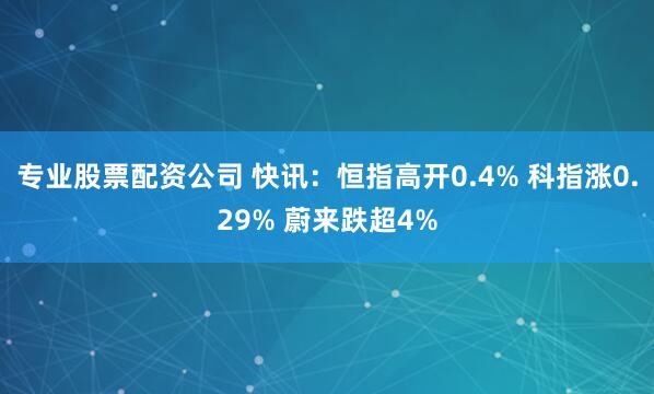 专业股票配资公司 快讯：恒指高开0.4% 科指涨0.29% 蔚来跌超4%