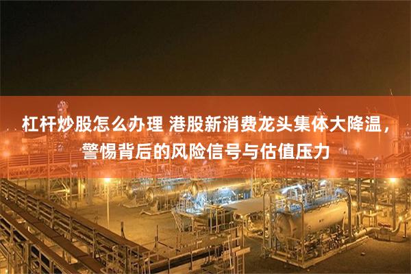 杠杆炒股怎么办理 港股新消费龙头集体大降温，警惕背后的风险信号与估值压力