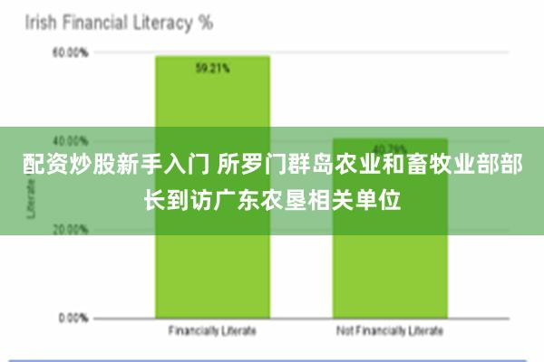 配资炒股新手入门 所罗门群岛农业和畜牧业部部长到访广东农垦相关单位